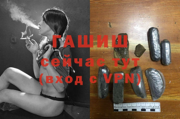сатива Балахна