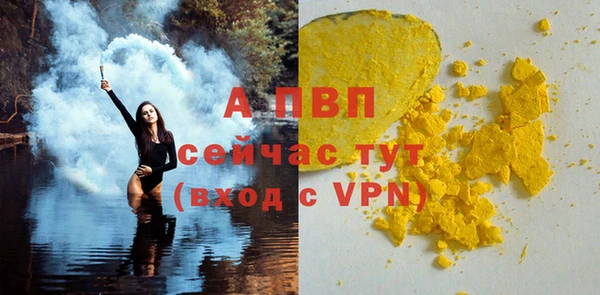 сатива Балахна
