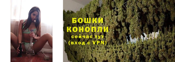 сатива Балахна