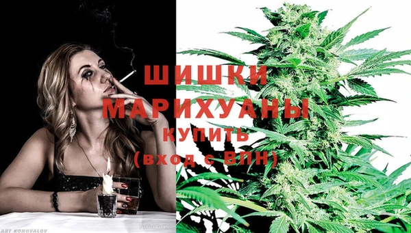 ПСИЛОЦИБИНОВЫЕ ГРИБЫ Балабаново