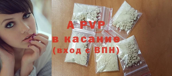 сатива Балахна
